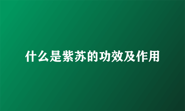 什么是紫苏的功效及作用