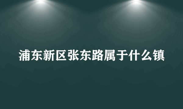 浦东新区张东路属于什么镇