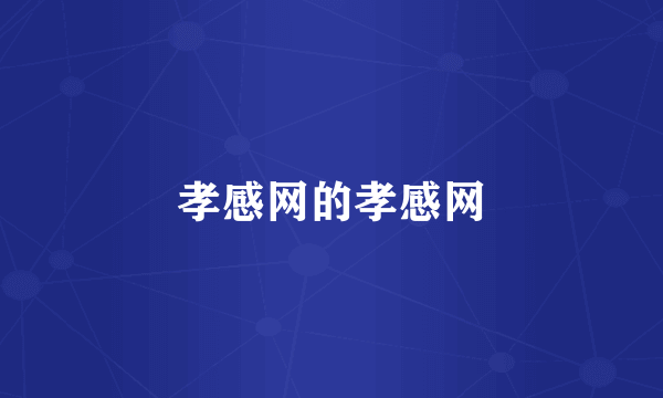 孝感网的孝感网
