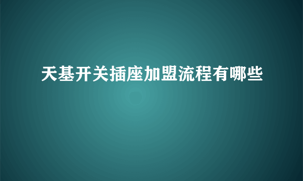 天基开关插座加盟流程有哪些