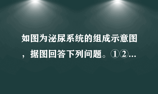 如图为泌尿系统的组成示意图，据图回答下列问题。①②③④(1)①___，它具有___的功能，②___，它具有___的功能，③___，具有___的功能，④___，具有___的功能。(2)人体排尿，不仅起到___的作用，而且对调节体内___和___的平衡，维持组织细胞的正常生理功能，也有重要作用。