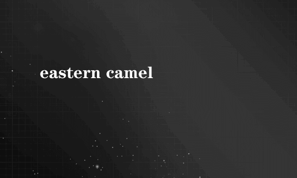 eastern camel