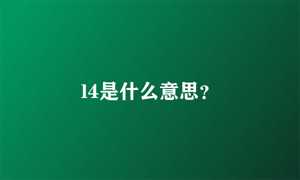 l4是什么意思？