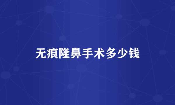 无痕隆鼻手术多少钱