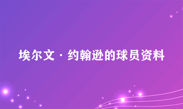 埃尔文·约翰逊的球员资料