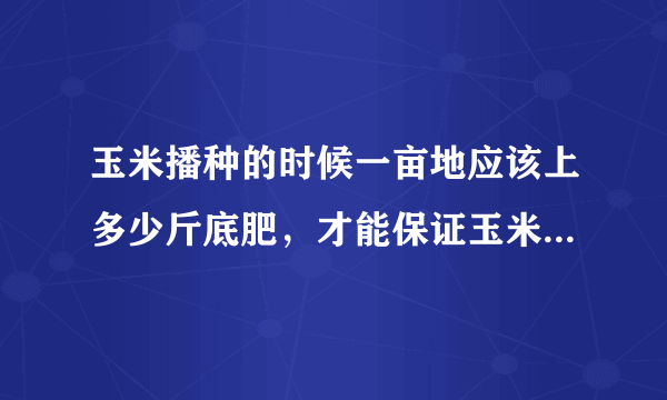 玉米播种的时候一亩地应该上多少斤底肥，才能保证玉米产量高呢？
