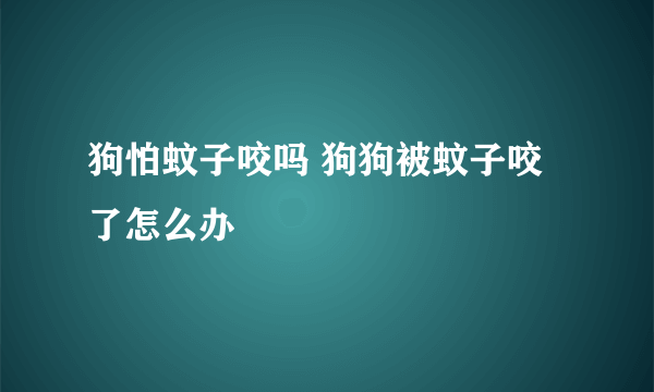 狗怕蚊子咬吗 狗狗被蚊子咬了怎么办