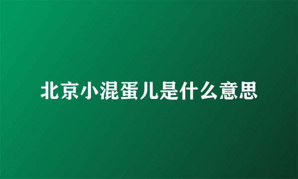 北京小混蛋儿是什么意思