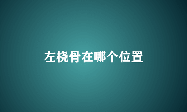 左桡骨在哪个位置