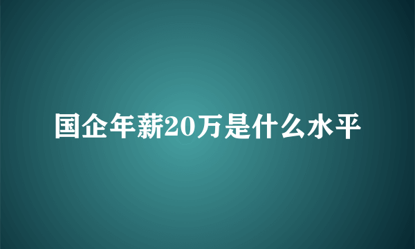 国企年薪20万是什么水平