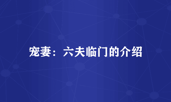 宠妻：六夫临门的介绍