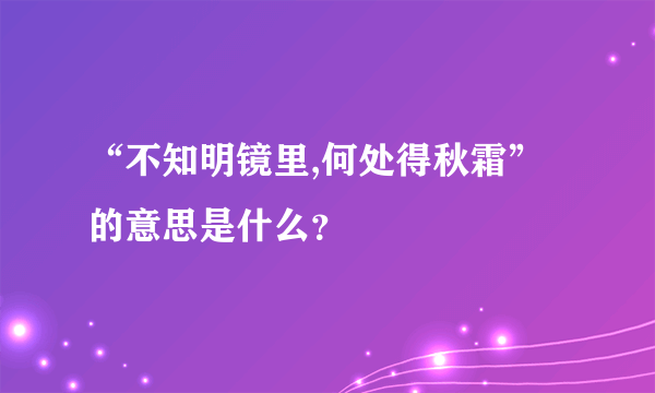 “不知明镜里,何处得秋霜”的意思是什么？