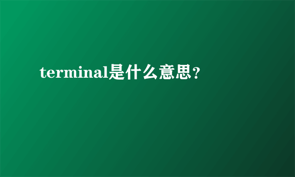terminal是什么意思？