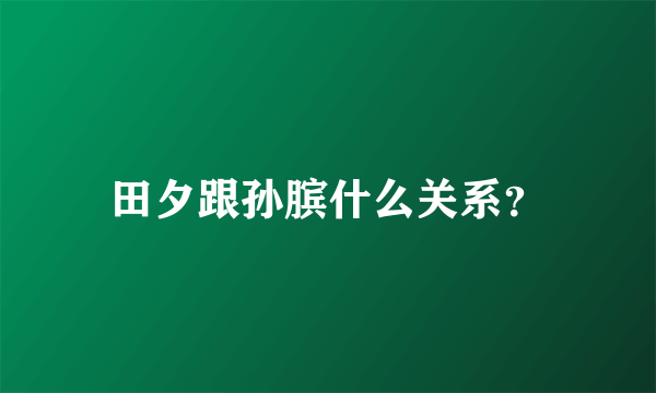 田夕跟孙膑什么关系？