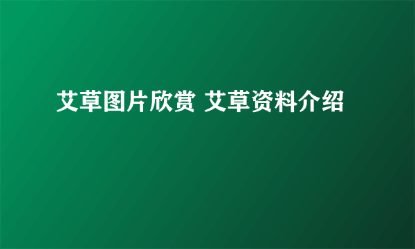 艾草图片欣赏 艾草资料介绍
