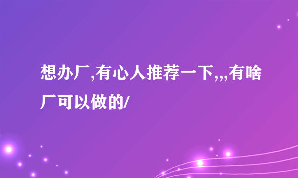 想办厂,有心人推荐一下,,,有啥厂可以做的/