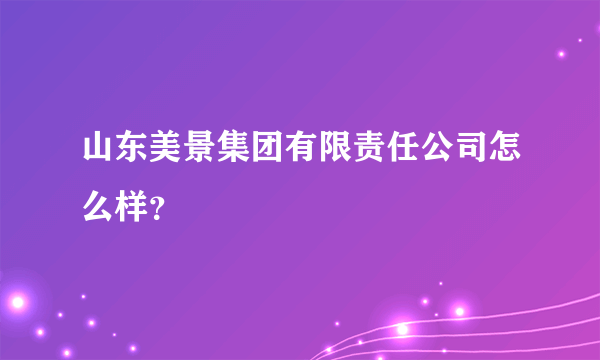 山东美景集团有限责任公司怎么样？