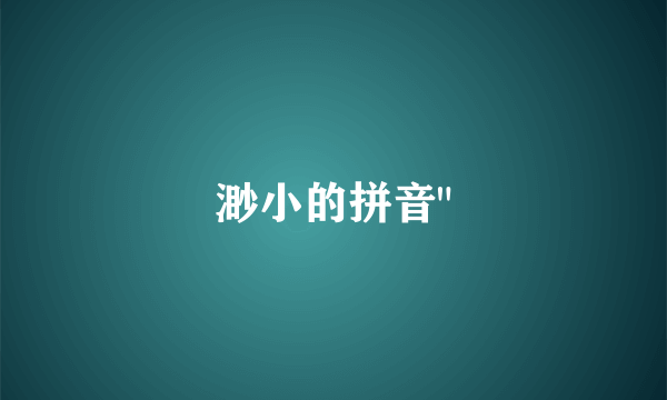 渺小的拼音