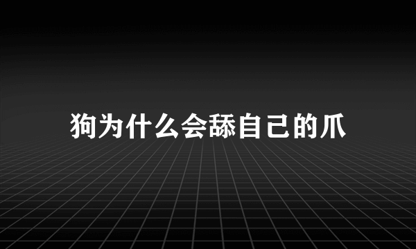 狗为什么会舔自己的爪