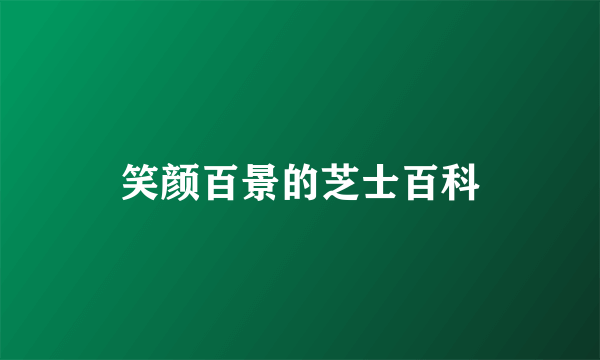 笑颜百景的芝士百科