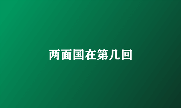 两面国在第几回
