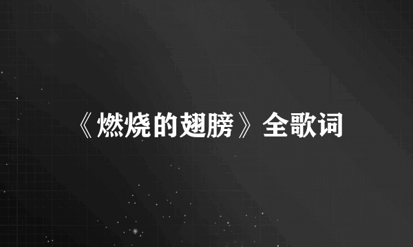 《燃烧的翅膀》全歌词