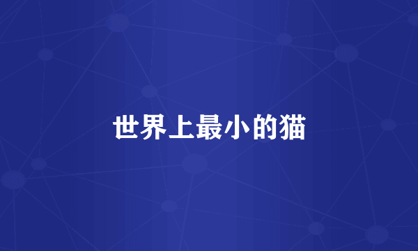 世界上最小的猫