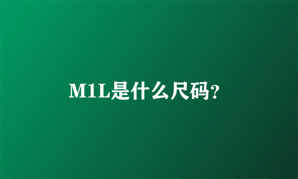 M1L是什么尺码？