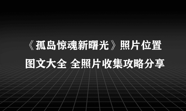 《孤岛惊魂新曙光》照片位置图文大全 全照片收集攻略分享
