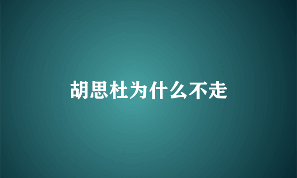 胡思杜为什么不走