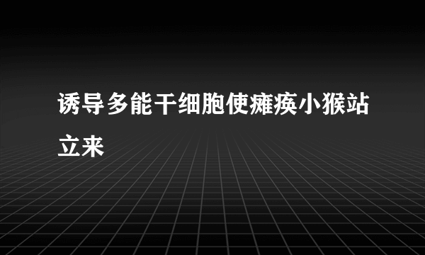诱导多能干细胞使瘫痪小猴站立来