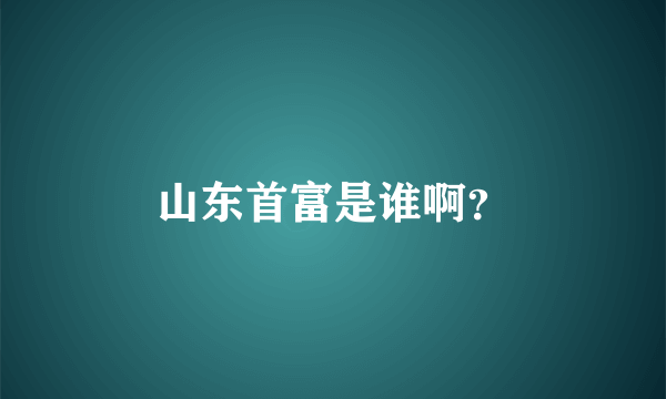 山东首富是谁啊？