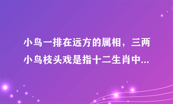小鸟一排在远方的属相，三两小鸟枝头戏是指十二生肖中哪一个？