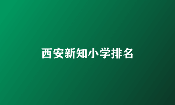 西安新知小学排名