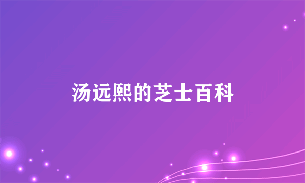 汤远熙的芝士百科