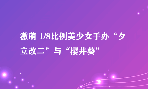 激萌 1/8比例美少女手办“夕立改二”与“樱井葵”