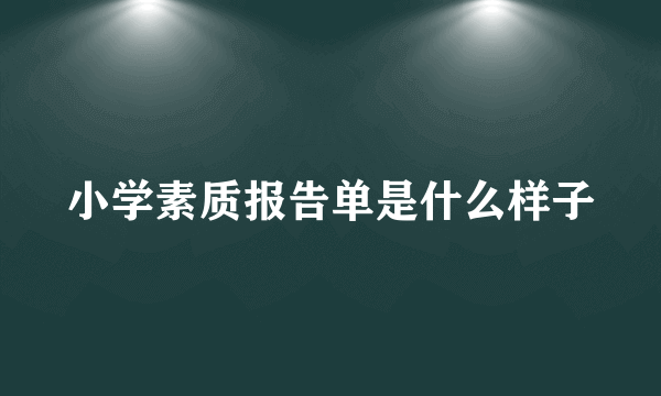 小学素质报告单是什么样子