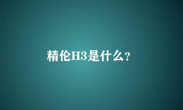 精伦H3是什么？