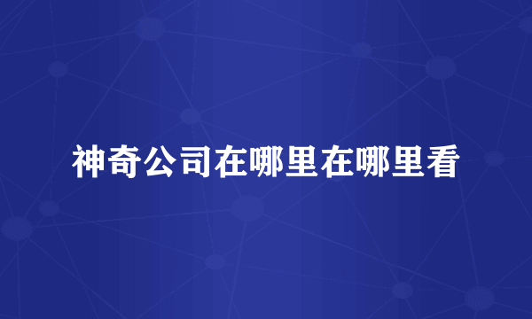 神奇公司在哪里在哪里看
