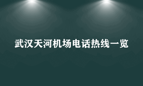 武汉天河机场电话热线一览