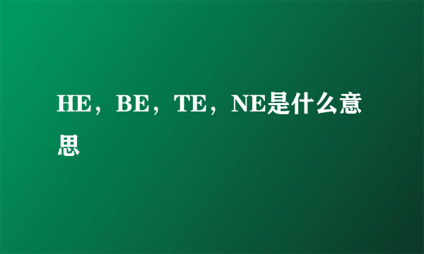 HE，BE，TE，NE是什么意思