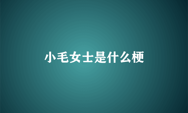 小毛女士是什么梗