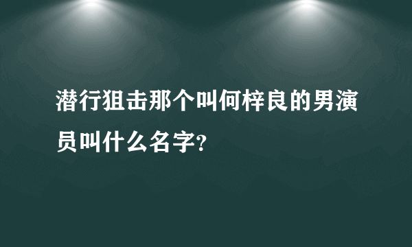 潜行狙击那个叫何梓良的男演员叫什么名字？