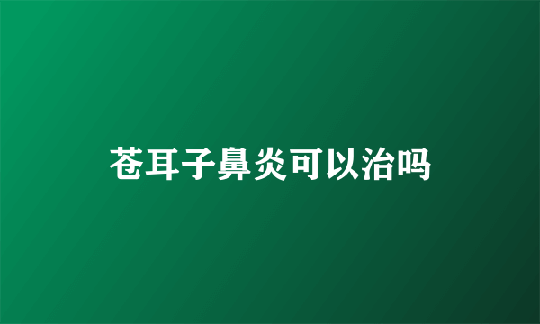 苍耳子鼻炎可以治吗