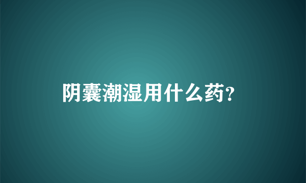 阴囊潮湿用什么药？