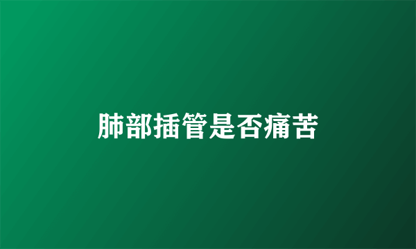 肺部插管是否痛苦