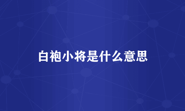 白袍小将是什么意思