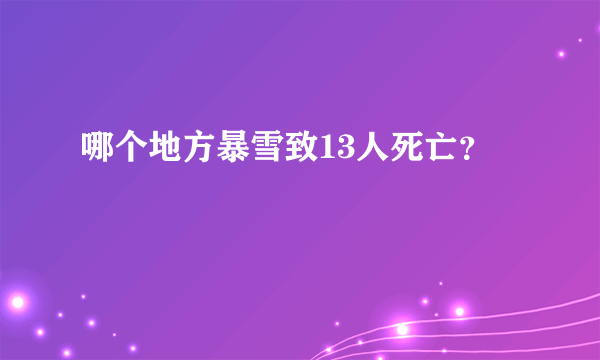 哪个地方暴雪致13人死亡？