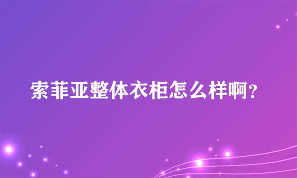 索菲亚整体衣柜怎么样啊？