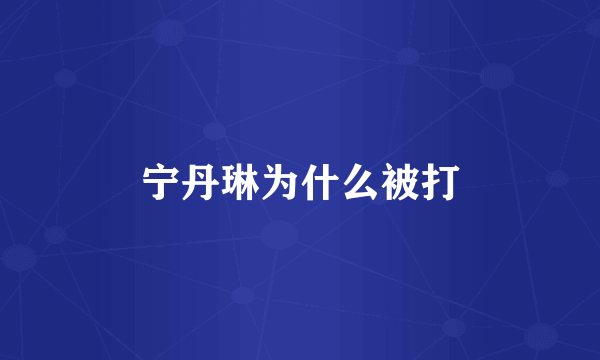 宁丹琳为什么被打